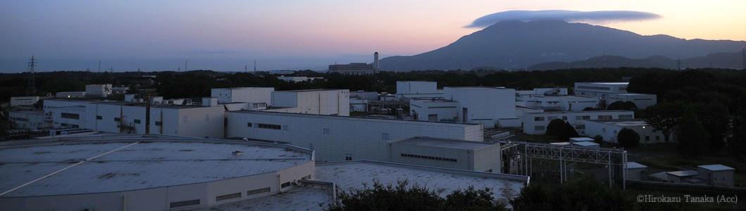 IMSS image