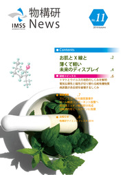 imss-news_11.jpg